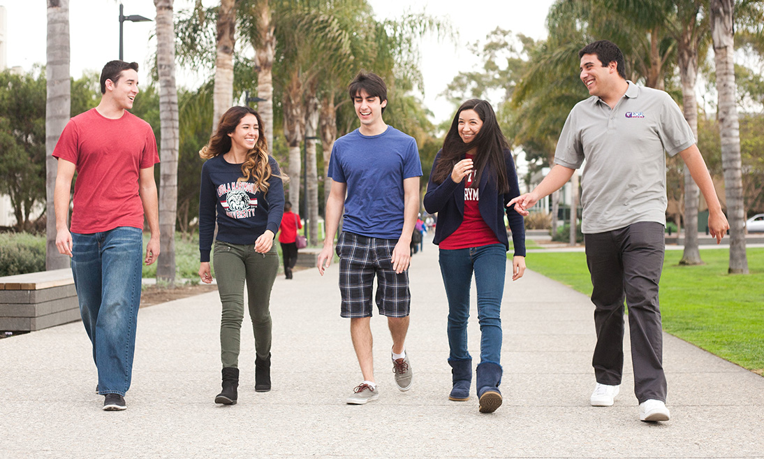 Several students walking together down Palm Walk