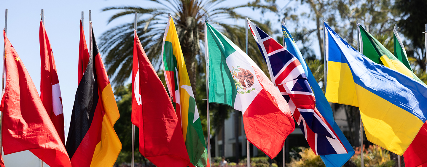 International Flags at LMU