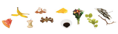 Various food scraps
