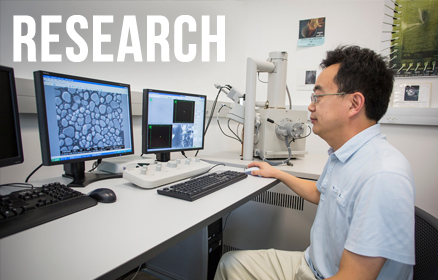 A faculty member looking at a high resolution image of cellular structures